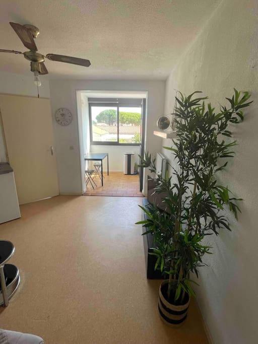 Appartement Port Leucate Bagian luar foto